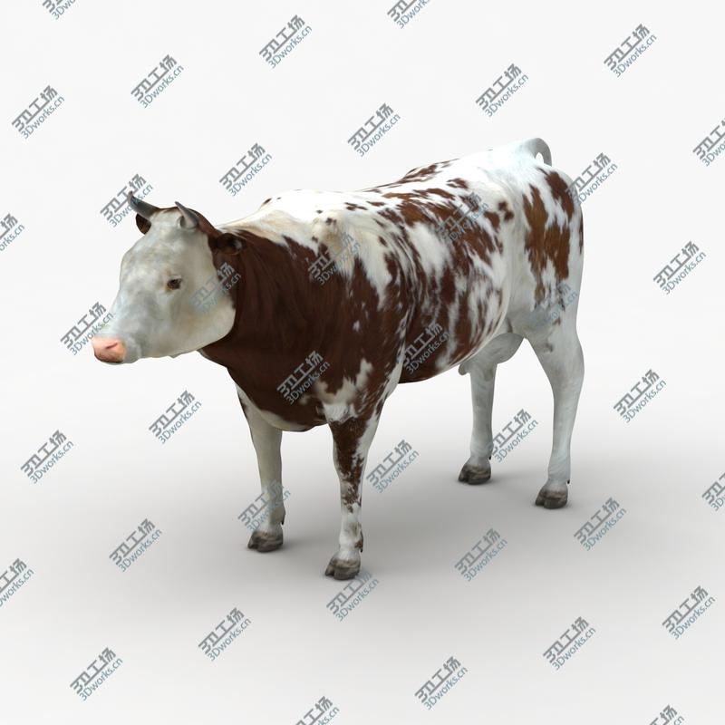 images/goods_img/202105074/Cow Collection/5.jpg